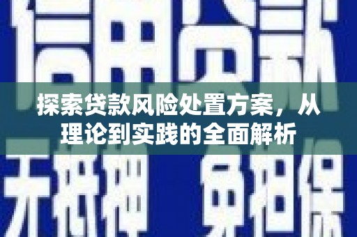 石泉探索贷款风险处置方案，从理论到实践的全面解析