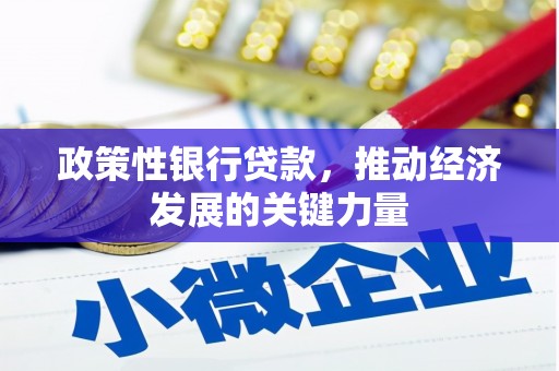 石泉政策性银行贷款，推动经济发展的关键力量