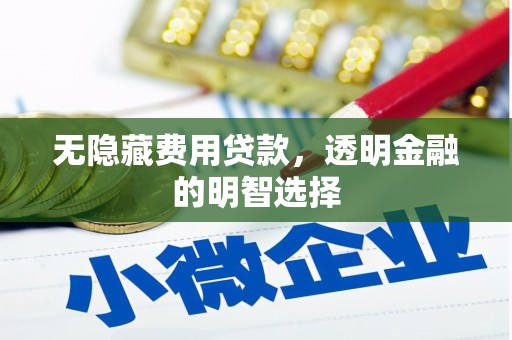 石泉无隐藏费用贷款，透明金融的明智选择
