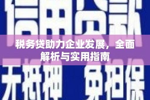 石泉税务贷助力企业发展，全面解析与实用指南