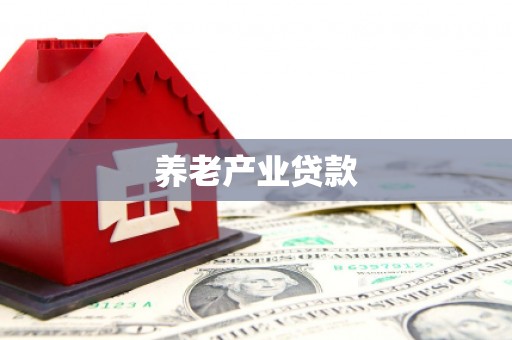 石泉养老产业贷款